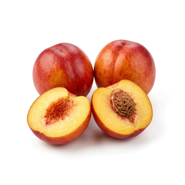 شلیل