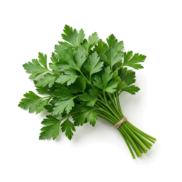 جعفری (تازه)