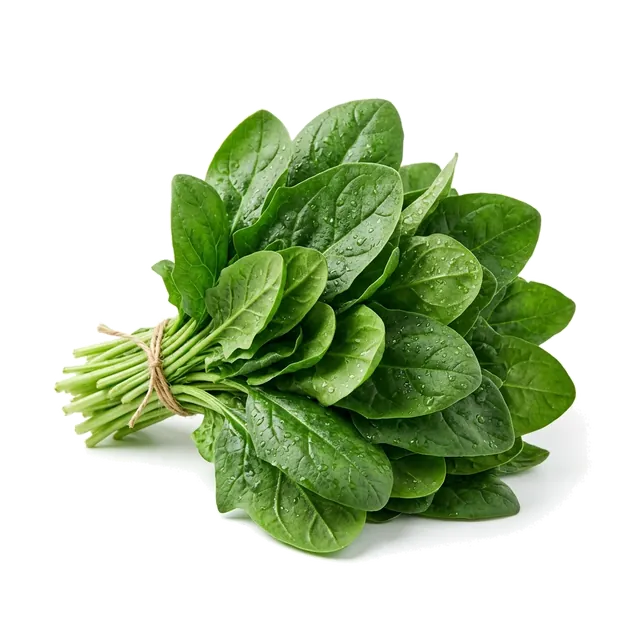 اسفناج تازه / بخارپز