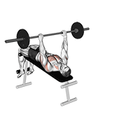 نمایش حرکت پول‌اور هالتر دست‌باز روی نیمکت شیب منفی
