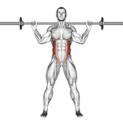 نمایش حرکت چرخش بالاتنه ایستاده با هالتر