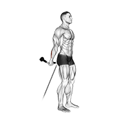 نمایش حرکت مچ دست سیم‌کش ایستاده (پشت بدن)