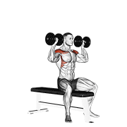 نمایش حرکت پرس دمبل روی نیمکت (نیمهنشسته)