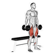 نمایش حرکت اسکوات دمبل تا روی نیمکت