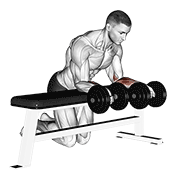 نمایش حرکت مچ دست برعکس دمبل روی نیمکت (دودست)