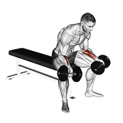 نمایش حرکت مچ دمبل نشسته از زیر (جلو ساعد)