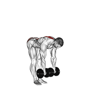 نمایش حرکت ددلیفت پا صاف دمبل (ایستاده)