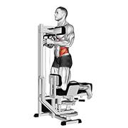 نمایش حرکت چرخش بالاتنه زانوزده دستگاه اهرمی