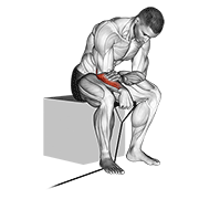 نمایش حرکت مچ دست برعکس با کش (پشت ساعد)
