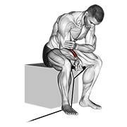 نمایش حرکت مچ دست با کش (جلو ساعد)