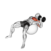 نمایش حرکت پرس سرشانه دمبل تک‌دست روی توپ تمرینی