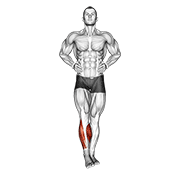نمایش حرکت چرخش مچ پا