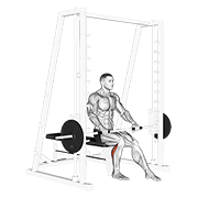 نمایش حرکت ساق پا نشسته تکپا اسمیت