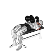 نمایش حرکت پرس دمبل دستجمع عرض نیمکت
