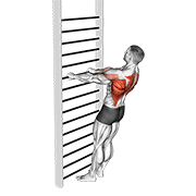 نمایش حرکت زیربغل ایستاده (وزن بدن)