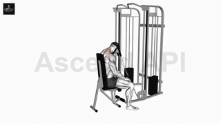 نمایش حرکت باز کردن گردن نشسته با سیم‌کش