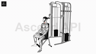 نمایش حرکت خم کردن گردن نشسته با سیم‌کش