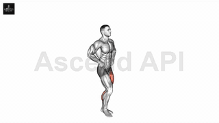 نمایش حرکت اسکوات پیستول پرشی