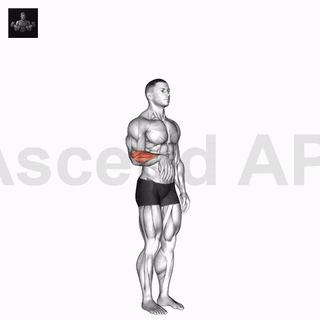 نمایش حرکت حرکت مفصلی مچ دست: باز کردن